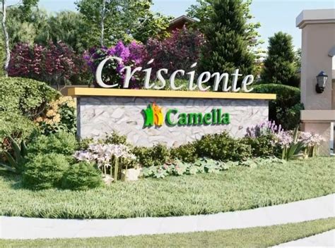 Camella Crisciente .